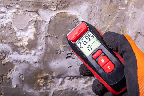 Best Mold Remediation for Specific Building Types in Bowleys Quarters, MD